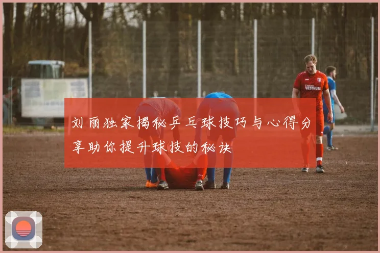 刘丽独家揭秘乒乓球技巧与心得分享助你提升球技的秘诀